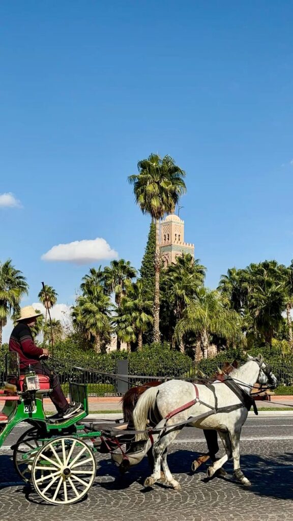 Promenade en calèche à la découverte de Marrakech