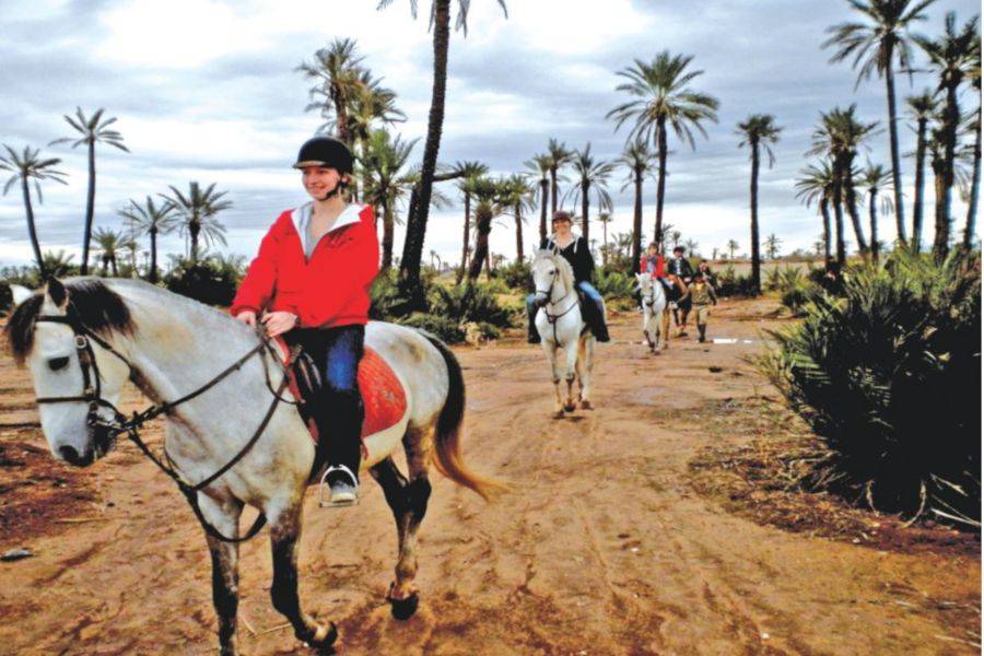 Balade à cheval dans la Palmeraie