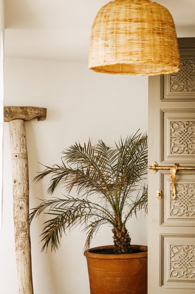 Riad Chabou